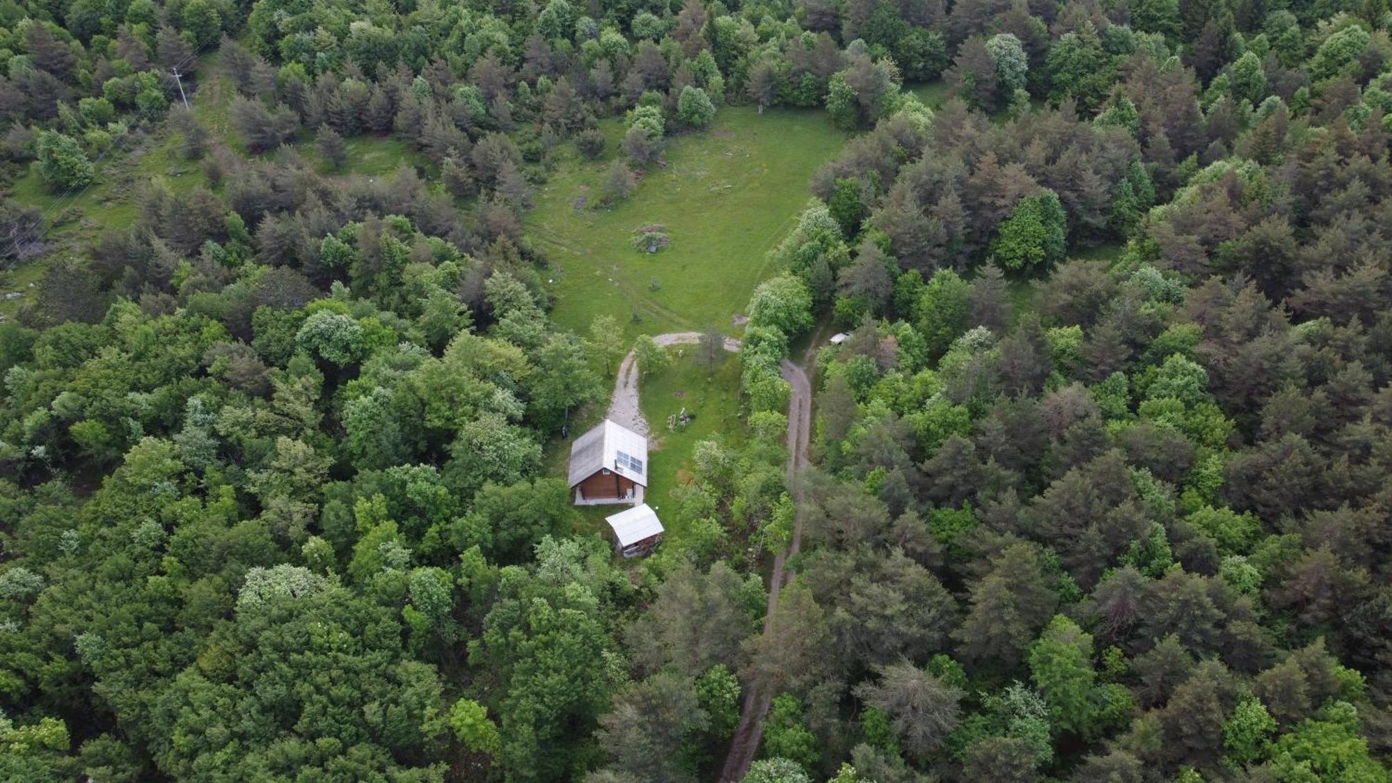 Podklanci-House In The Forest Knezak ภายนอก รูปภาพ